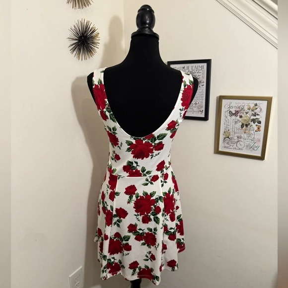 H & M ROSE DRESS SIZE 8 - Picture 3 of 16